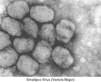 smallpox-virus1.jpg