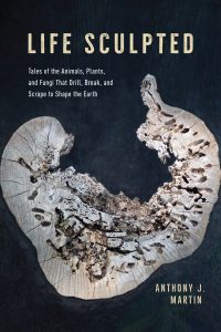 Book cover image with a black background and a photograph of a piece of tree trunk with boring holes.