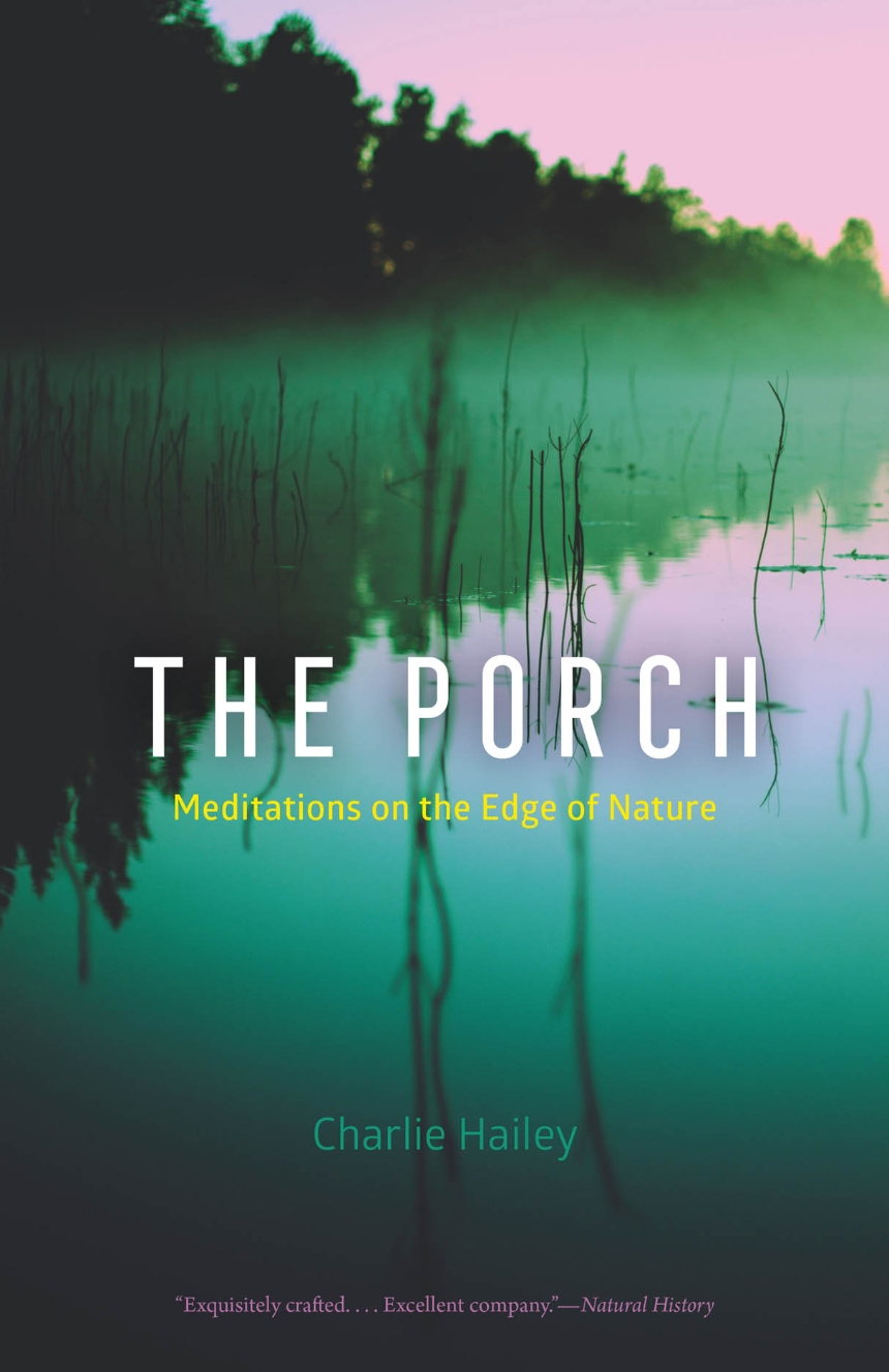 “The Porch” at the Venice Biennale, a Guest Post by Charlie Hailey