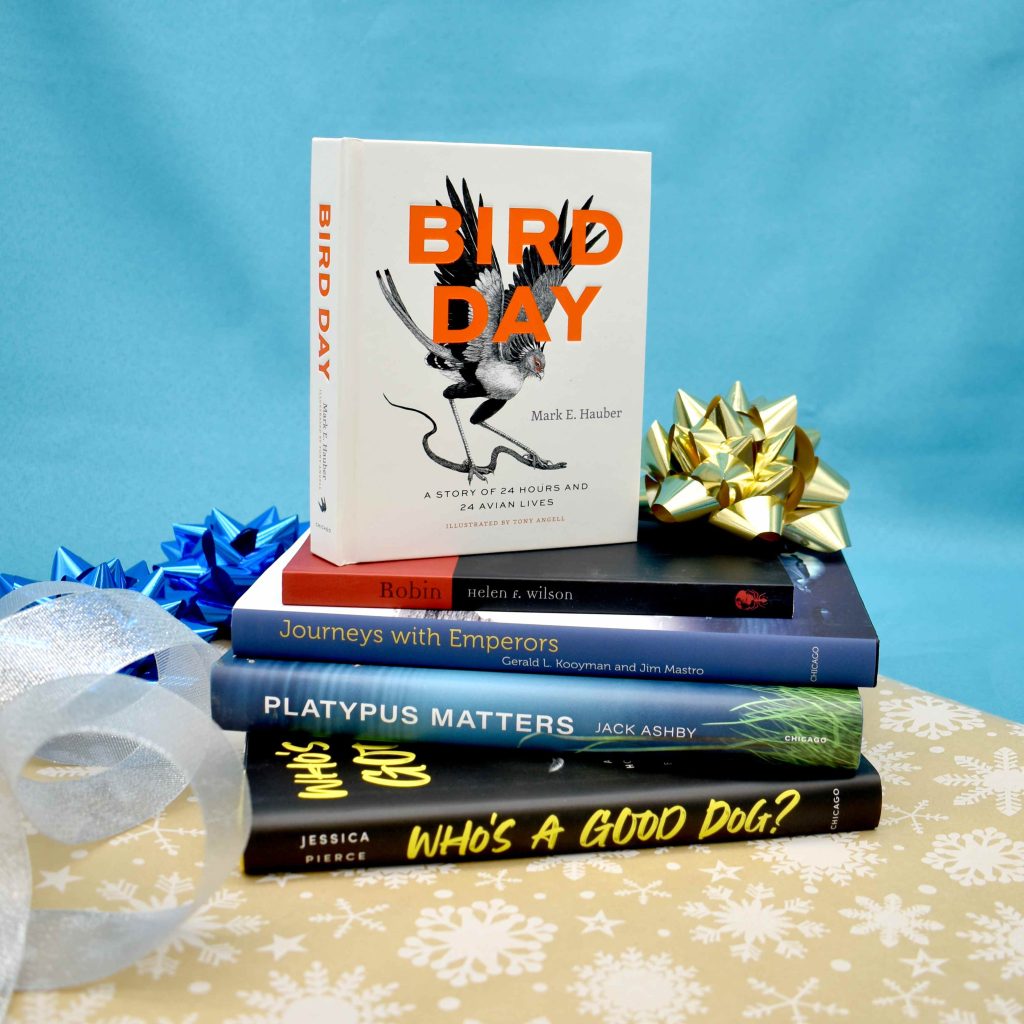 41 new books for holiday gifts in 2023