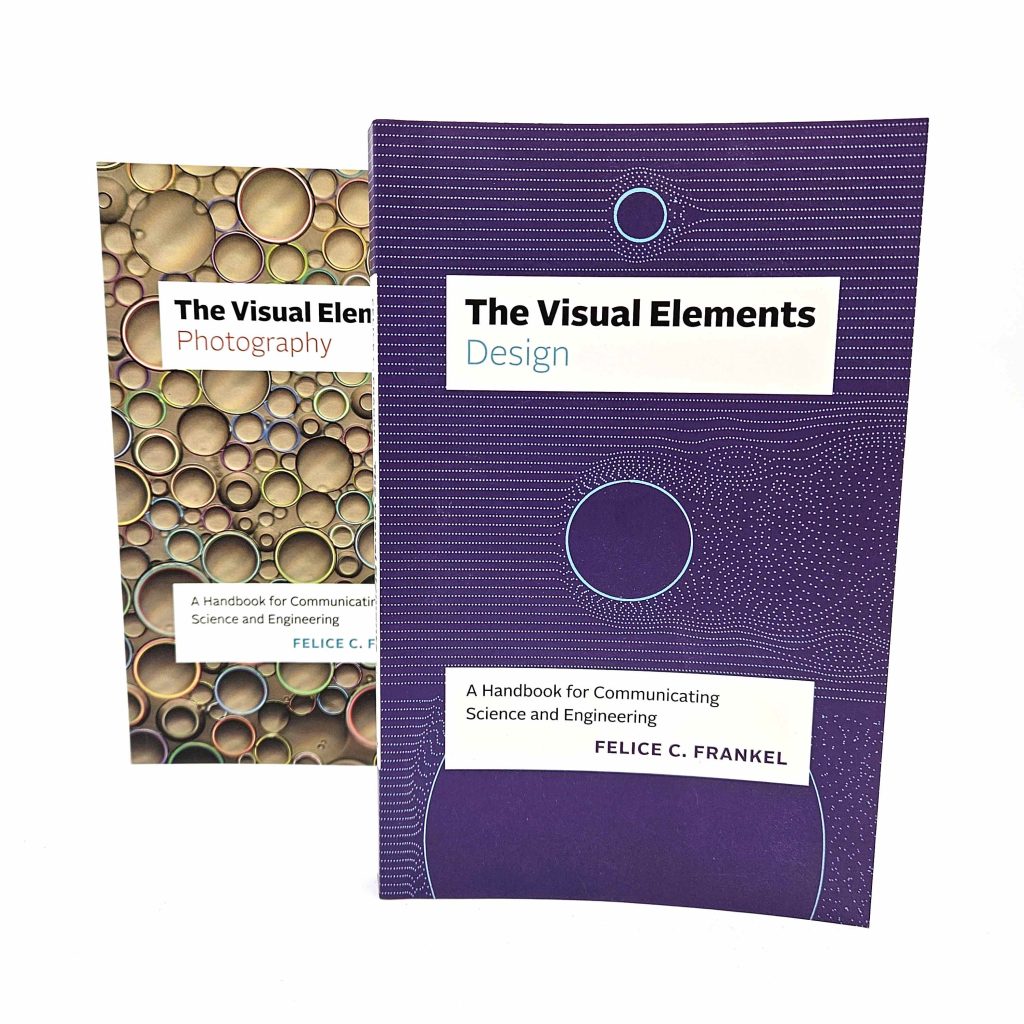 photo of both books in the Visual Elements series