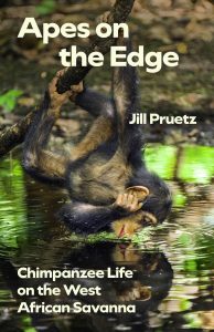 Apes on the Edge book cover featuring an ape in a tree